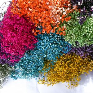 توريد بالجملة لزهور الجيبسوفيلا الطبيعية المجففة والمحفوظة، زهور أنفاس الطفل الأبدية، زهور الملايين من النجوم - Product Image 3