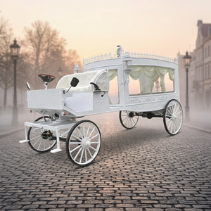 Véhicule funéraire électrique blanc classique haut de gamme, très demandé - Product Image 1
