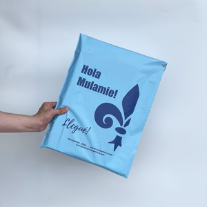 Hot Sale Matte Blue Mailer Bag With Shiny <b>Gold</b> logo 10*13 Eco Poly Mailer Packaging Shipping Bag for <b>Clothes</b> Shoe Box Tshirt - Product Image 1