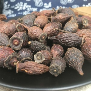 Vente de gros Herb jin <span class=keywords><strong>ying</strong></span> <span class=keywords><strong>zi</strong></span> Cherokee Rose Fruit séché naturel Fruit of Cherokee Rose - Product Image 5