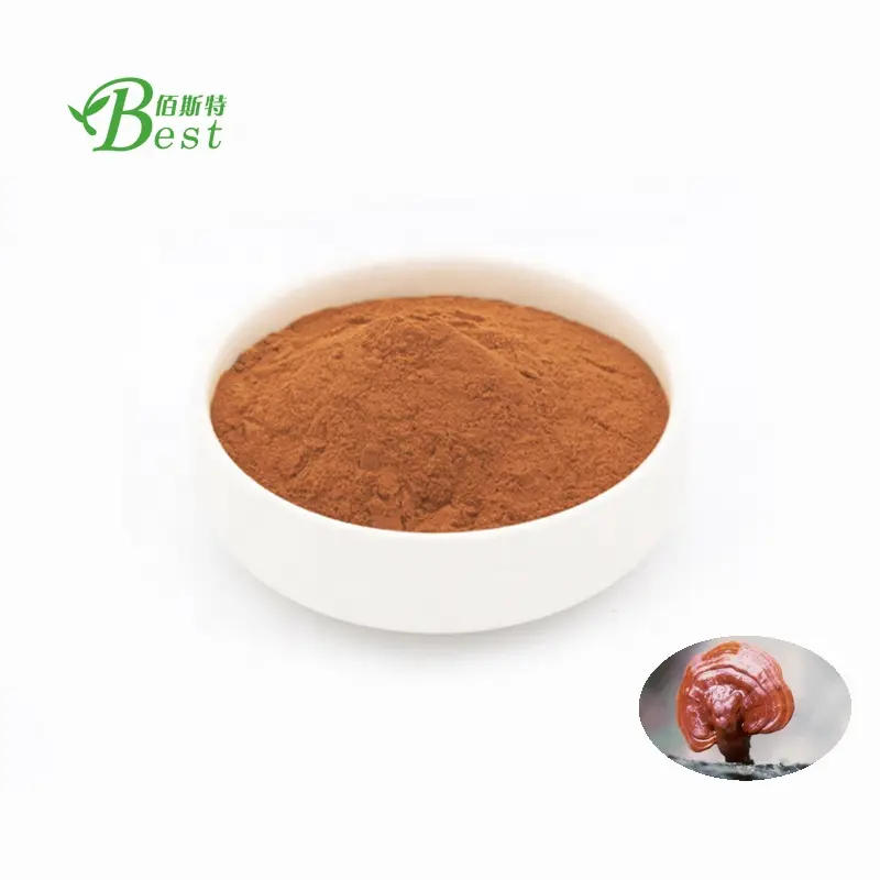 อาหารเสริมอาหารผงปรุงรส Reishi Mushroom Powder/เห็ดหลินจือเห็ดหลินจือผง/เห็ดหลินจือผงเห็ดหลินจือ