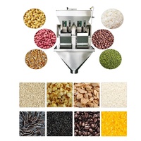 Machine d'emballage linéaire économique automatique à 2 têtes pour grains de café, raisins, haricots blancs