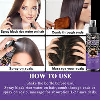 Semprotan Air Beras Hitam Logo Kustom untuk Pertumbuhan Rambut 150ml Ekstrak Jahe Wijen Alami Serum Perawatan Kulit Kepala Anti-Rontok