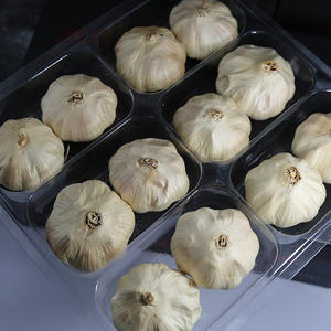 Shandong siyah sarımsak üreticisi tek ampul organik yalnız siyah sarımsak Bawang Putih Hitam - Product Image 6