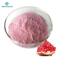 100% Pure Food Grade Gedroogde Biologische Granaatappel Extract Poeder Natuurlijk/Granaatappel Fruit Poeder P.E.