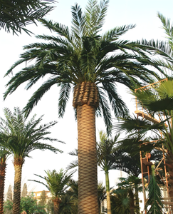 Poteau de communication en acier galvanisé à chaud, tour d'antenne amateur, arbre artificiel de 30 m, bionique, durée de vie de 50 ans, certifié ISO9001 - Product Image 3