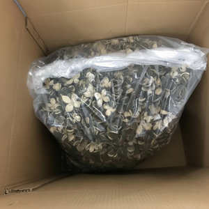 Venta al por mayor a granel de alta calidad, mandarina seca picada, seda de piel de naranja amarga - Product Image 1