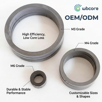 Noyau toroïdal sur mesure M3/M4/M6 en acier au silicium à grain orienté laminé à froid à faible perte de puissance pour transformateur d'amplificateur audio