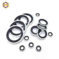 Metric Self Centering Bonded Seals Multi Size Rubber Dowty Washers Mechanical Seal Ring for Hydraulic Pipe Bolt Fasteners