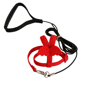 Arnés Ajustable para Pájaros y Loros, Cuerda de Tracción con Ala Bonita para Loros, Palomas y Periquitos - Product Image 4