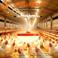 Lampu LED Peternakan Ayam Komersial 48V DC Perlengkapan Penerangan Unggas Pemasangan Mudah Dapat Diredupkan Solusi Tahan Air