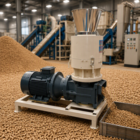 Machines de fabrication de granulés de bois biomasse pour la production de granulés de bois, moulin à granulés, machine de traitement du riz, de la paille et de l'herbe
