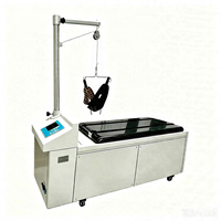 Table de traction lombaire orthopédique électrique YGT04, appareil de physiothérapie, lit de traction cervicale et vertébrale