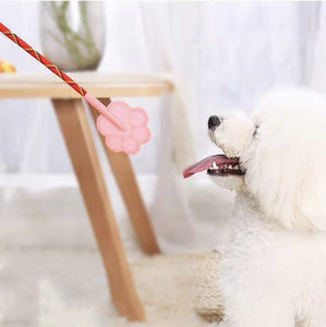 Bastone da addestramento <span class=keywords><strong>per</strong></span> cani <span class=keywords><strong>per</strong></span> la vendita <span class=keywords><strong>di</strong></span> Hot-seller <span class=keywords><strong>per</strong></span> animali domestici Non dannosi, strumenti <span class=keywords><strong>di</strong></span> addestramento <span class=keywords><strong>per</strong></span> cani-pacca <span class=keywords><strong>di</strong></span> addestramento <span class=keywords><strong>per</strong></span> cani - Product Image 1