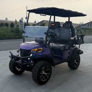 Carrito de Golf Eléctrico Mini <span class=keywords><strong>Moke</strong></span> Certificado por la CE, con Batería de 12V100AH y 60V, para 3-4 Pasajeros, Alcance de 70-110 km - Product Image 2