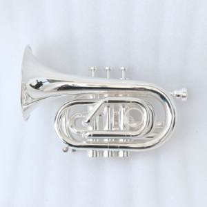 <span class=keywords><strong>Trompeta</strong></span> <span class=keywords><strong>de</strong></span> Bolsillo <span class=keywords><strong>Profesional</strong></span> FPT-300S, Plateada, Tono Bb, Válvulas <span class=keywords><strong>de</strong></span> Monel, Cuerpo <span class=keywords><strong>de</strong></span> Latón, Boquilla 7C, Estuche <span class=keywords><strong>de</strong></span> Plástico <span class=keywords><strong>de</strong></span> Alta Calidad, OEM - Product Image 6