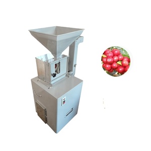 Máquina Descascaradora de Arroz y Granos de Cacao Comercial Pequeña con Motor, Alta Productividad, Acero Inoxidable, Precio de Fábrica - Product Image 1