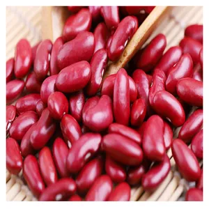 Factory Directly Wholesale Red Kidney Beans 2022 Long Shape Dark Red Kidney Beans