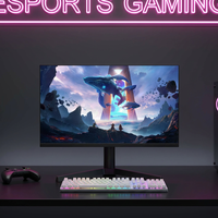 Moniteur PC droit professionnel 2026 de 24,5 pouces FHD 600 Hz 1 ms avec dalle IPS