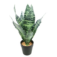 Sansevieria artificielle de 35 cm de haut, bonsaï en gros, petit bonsaï de Sansevieria