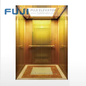 FUJI 8 Persons 630kg Stainless Steel Home Sightseeing Villa Hospital Passenger Elevator Lift For Sale