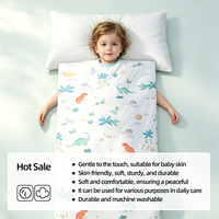 Sac de couchage pour enfants sur mesure anti-coup de pied en polyester imprimé dessin animé 160 GSM, vente directe usine, marque privée, acheteur en gros, importateur