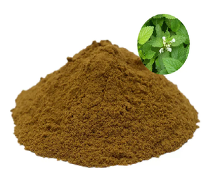 สารสกัดจากเมลิสสา officinalis สารสกัดจากผงเลมอนบาล์มสมุนไพรสำหรับอาหารเสริมบำรุงผิว - Product Image 3