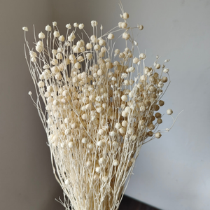 <span class=keywords><strong>Fleurs</strong></span> <span class=keywords><strong>séchées</strong></span> riches en couleur, <span class=keywords><strong>fleurs</strong></span> <span class=keywords><strong>séchées</strong></span> conservées, <span class=keywords><strong>bouquet</strong></span> de 50 g et lots d'artisanat, longue durée de vie de 3 à 5 ans pour Thanksgiving - Product Image 4