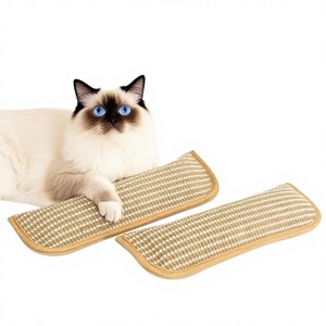 Coussin à chat à la catnip, jouet à mâcher auto-entretenant, résistant à la mastication, nettoyant pour les dents, friandise pour chat, anti-ennui, griffoir, fournitures - Product Image 1