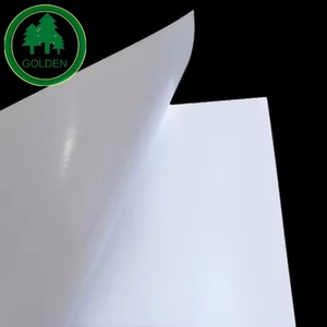 Coated Art <b>Paper</b> with Smooth Surface for Offset and Digital Printing - Product Image 5