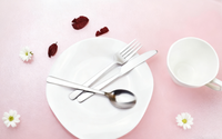 Ensemble de table à manger minimaliste de style frais nordique avec vaisselle en acier inoxydable