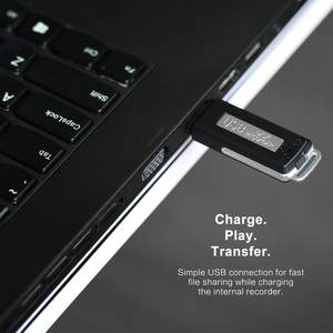 Personalizado digital <span class=keywords><strong>Mini</strong></span> grabador de voz grabadora de audio con flash drive 8gb usb flash usb negro - Product Image 2