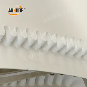 Annilt-Cinta transportadora lateral personalizada para cinta húmeda, separador magnético permanente, color blanco