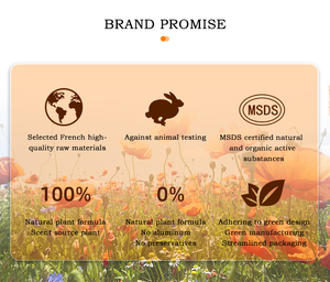 Suero de aceite esencial de pétalos de rosa puro 100% orgánico Natural de etiqueta privada más vendido para cara, cuerpo y cabello - Product Image 4