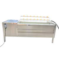 Machine industrielle de lavage et de pelage de légumes racineux SUS304, capacité 500-1000 kg/heure, pour patates douces, carottes, gingembre