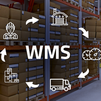 Software de Gestión de Almacenes Inteligente y Automatizado EBILTECH - WMS/WCS/WES con Certificación SGS y Capacidad Personalizada