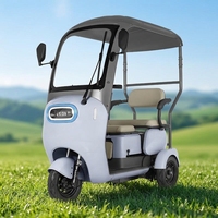Tricycle électrique semi-fermé neuf pour usage domestique, pratique pour les adultes et les personnes âgées
