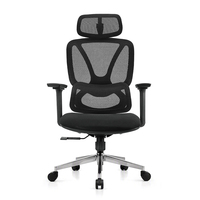 Chaise de bureau moderne, confortable, ergonomique, avec support lombaire réglable, pivotante et dotée d'un dossier en maille respirante