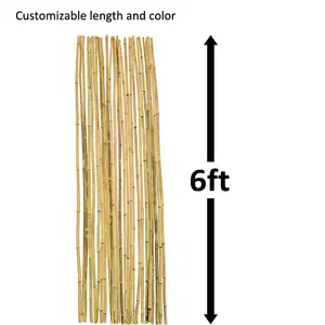 Estaca de bambú Natural, alta calidad, precio al por mayor de fábrica