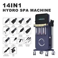 Haute qualité professionnel 14 1 Hydro Dermabrasion Microdermabrasion peau du visage Peeling beauté Machine UK Plug rajeunissement de la peau