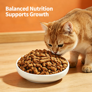 Nourriture pour chats cuite au four à nutrition équilibrée avec oméga-3 et probiotiques, digestion facile, rétention élevée des nutriments, croquettes pour animaux de compagnie en vente - Product Image 6