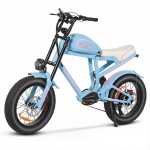 Vélo électrique de ville à prix de gros, 48v, <span class=keywords><strong>20</strong></span> <span class=keywords><strong>pouces</strong></span>, moto électrique, vélo électrique de ville - Product Image 2
