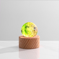 Décorations de chambre en gros : Ornements LED colorés à perles, base en bois, corps en verre, à brancher, effet ciel étoilé, étanches