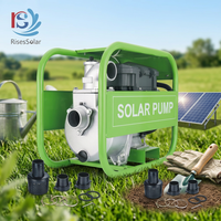Pompe à eau solaire auto-amorçante 1 CV CC, pompe centrifuge de surface à moteur BLDC submersible à rotor à aubes pour applications solaires