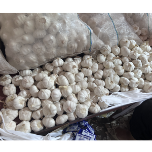 Trung Quốc Tỏi Nhà Cung Cấp Bán Buôn Chất Lượng Cao Tươi Rau Tỏi Giá Rẻ Giá Số Lượng Lớn Bán Buôn Giá Rẻ Giá - Product Image 3