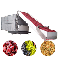 Séchoir à bande maillée multicouche du fabricant d'origine, équipement de séchage à bande maillée, séchoir à bande maillée pour raisins