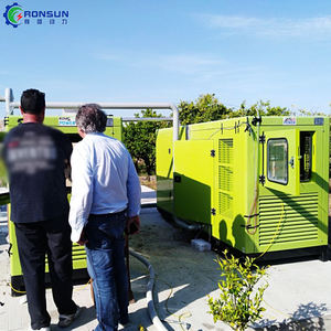 עץ שריפת חשמל תחנת כוח <span class=keywords><strong>100kw</strong></span> 200kw 300kw 300kw גז ביו גז גז גז ביומסה למכירה - Product Image 3