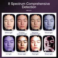 Analyseur de peau portable au design moderne, prix d'usine en Chine, technologie d'IA, testeur de peau du visage, cible visage et cheveux, numérique