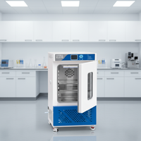 Incubadora Bioquímica Inteligente con Pantalla LCD, Función de Temporizador, Acero Inoxidable 201, Resolución de Temperatura de 0.1°C para Bacterias