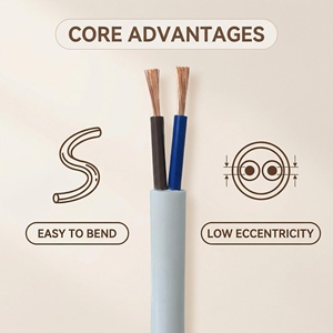 <span class=keywords><strong>สาย</strong></span>ไฟ H05VV-F ฉนวนพีวีซี ทองแดงตีเกลียวแบบยืดหยุ่น <span class=keywords><strong>12V</strong></span>/24V-300V 12 แกน 0.2-2.5 มม. สำหรับรถยนต์ อาคาร  IP20 - Product Image 1